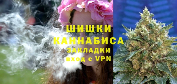 ПСИЛОЦИБИНОВЫЕ ГРИБЫ Армянск