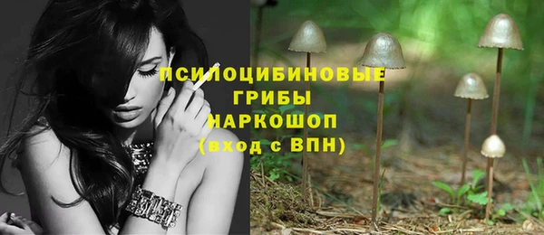ПСИЛОЦИБИНОВЫЕ ГРИБЫ Армянск