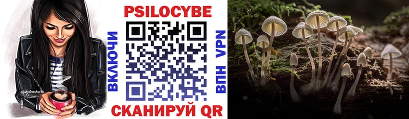 купить  сайты  Радужный  Галлюциногенные грибы ЛСД 